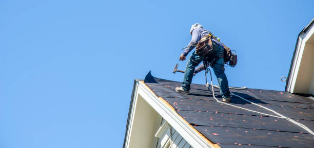 Best Roof Repair Services  in Port Wentworth, GA